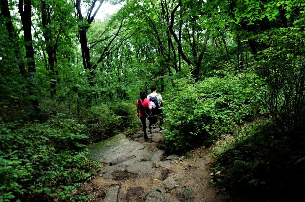 어두운 숲속 산길에 남여 1쌍&#44; 빨간 옷&#44; 흰 옷&#44; 둘 다 검은 바지&#44; 검은 배낭&#44;