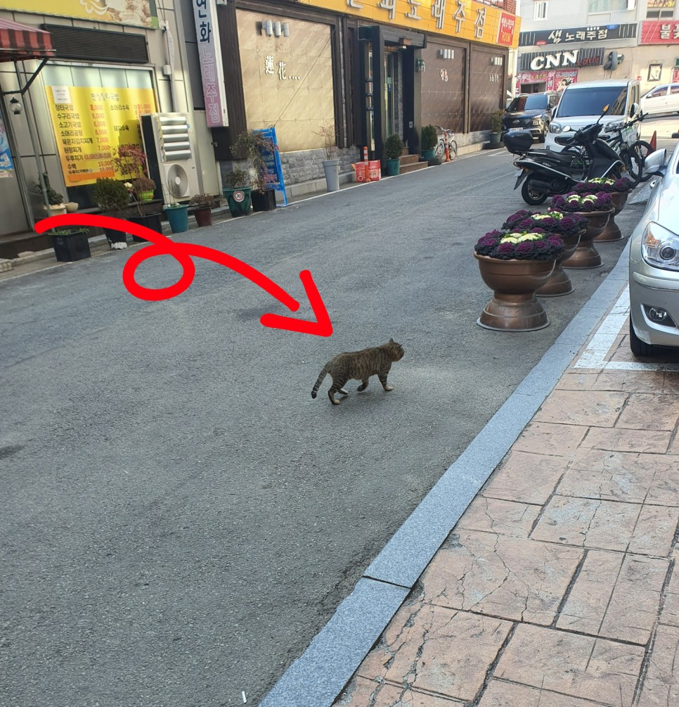 온 [경남/거제] 거제도 숙소 32