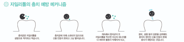 자일리톨_충치_메커니즘