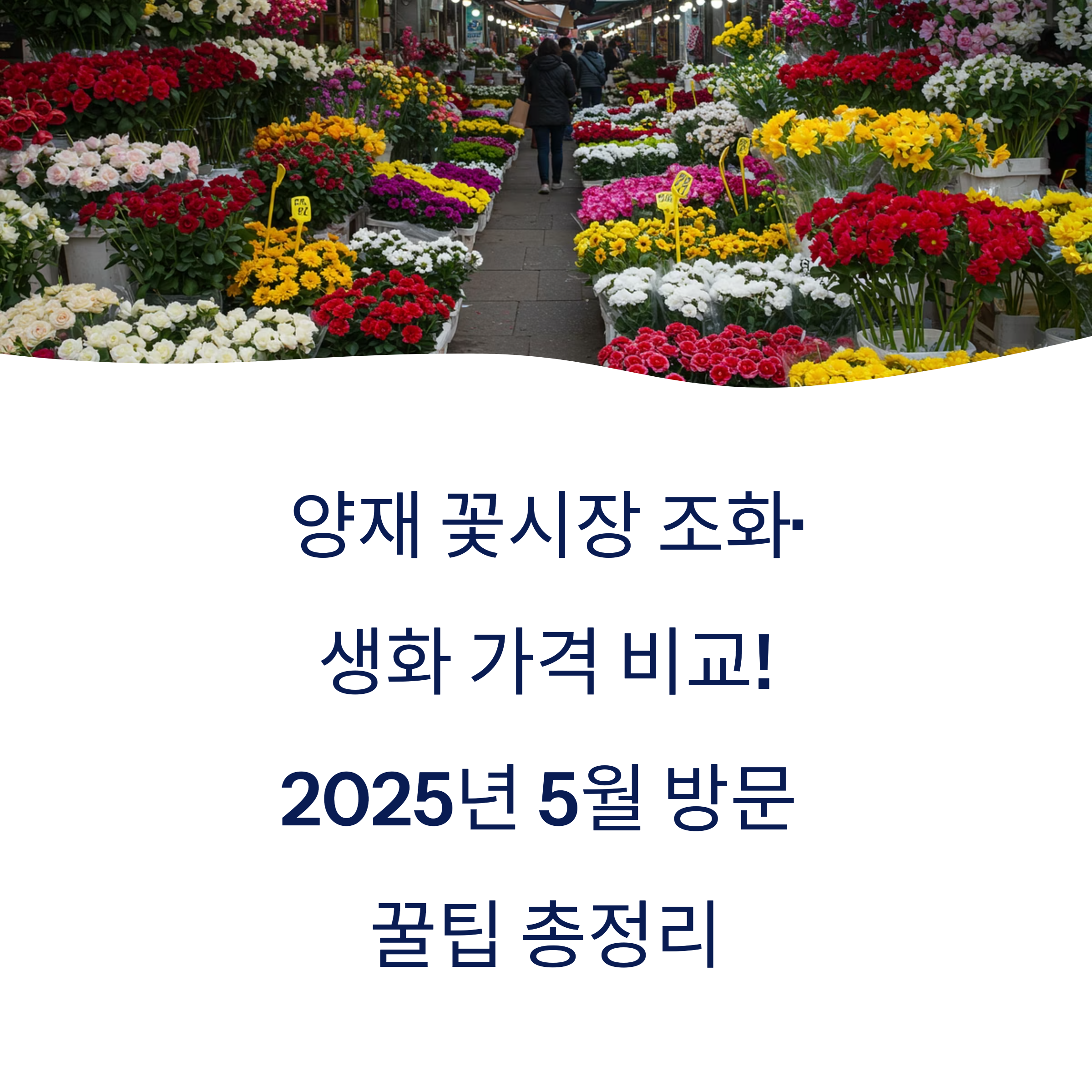 양재 꽃시장