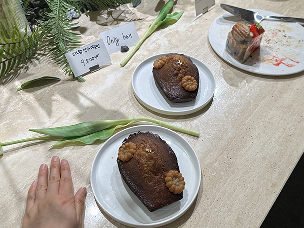 홍대 도식화 마들렌 전시 사진 2