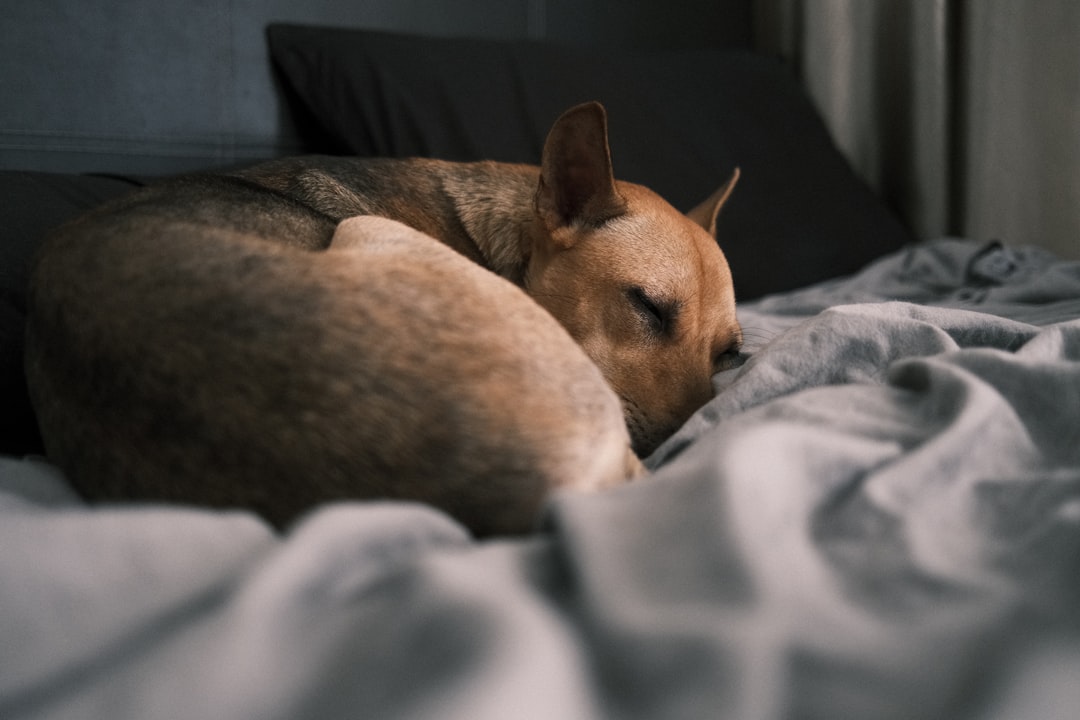 Sleep.