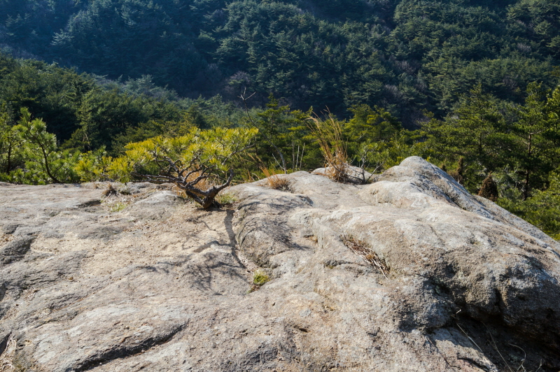 한국 명산 경북 경주 남산 등산 mountain hiking