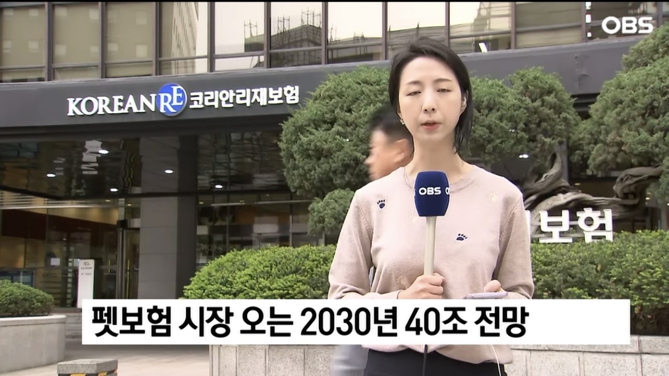  펫 보험 가입률(펫 보험은 필수)