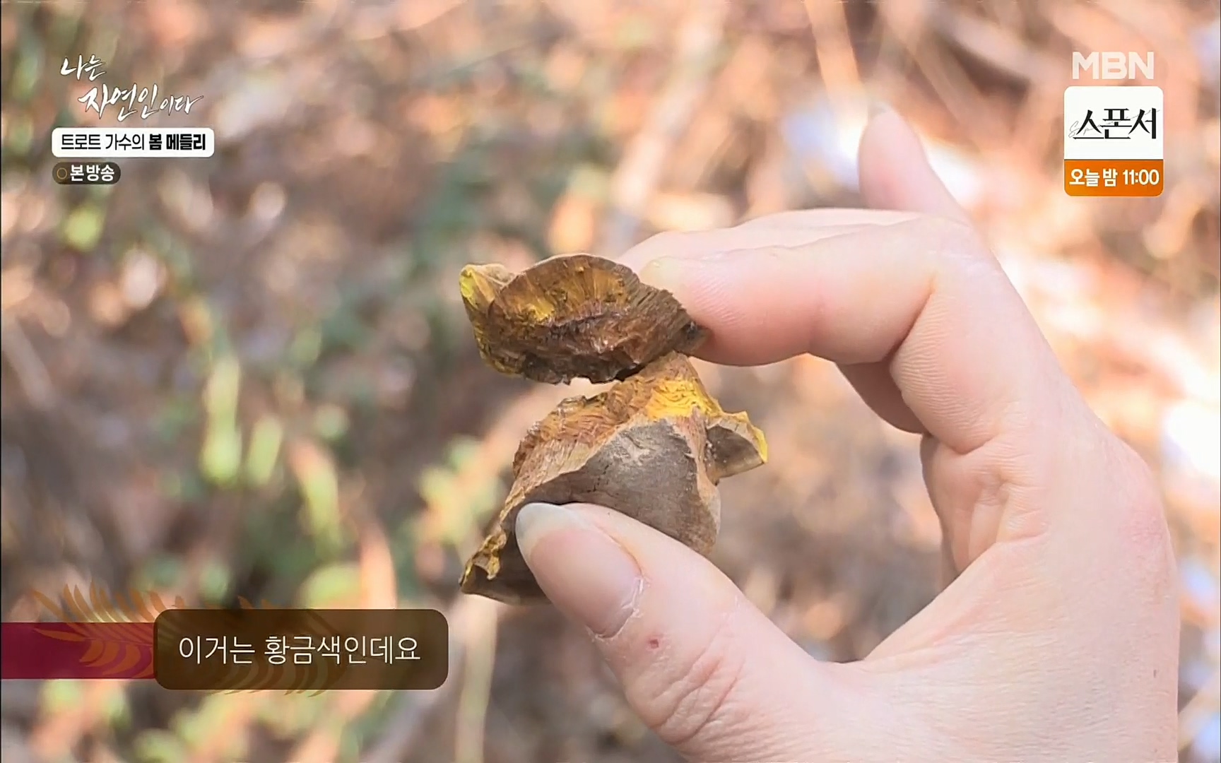 나는 자연인이다.E494.220323p.H264-F1RST.mp4_20220324_182110.782.jpg