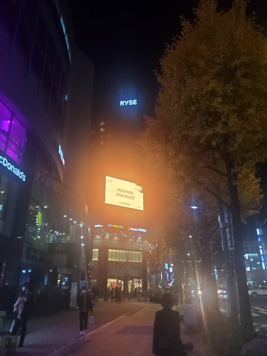  홍대 호텔 라이즈 오토그래프 컬렉션 디렉터룸 feat 메리어트