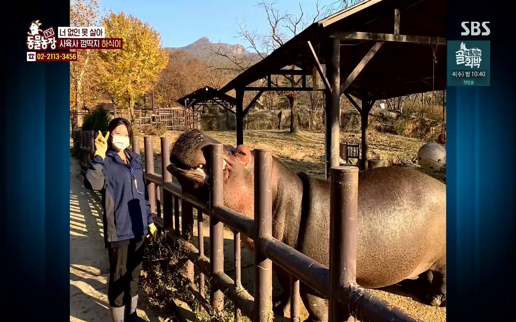 TV 동물농장.E1067.220501p.H264-F1RST.mp4_20220501_181708.727.jpg