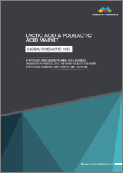 젖산(Lactic Acid) 시장 보고서