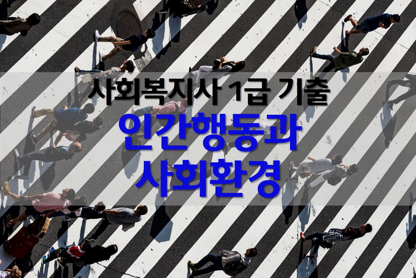  사회복지사 1급 문제 / 인간행동과 사회환경 기출 문제