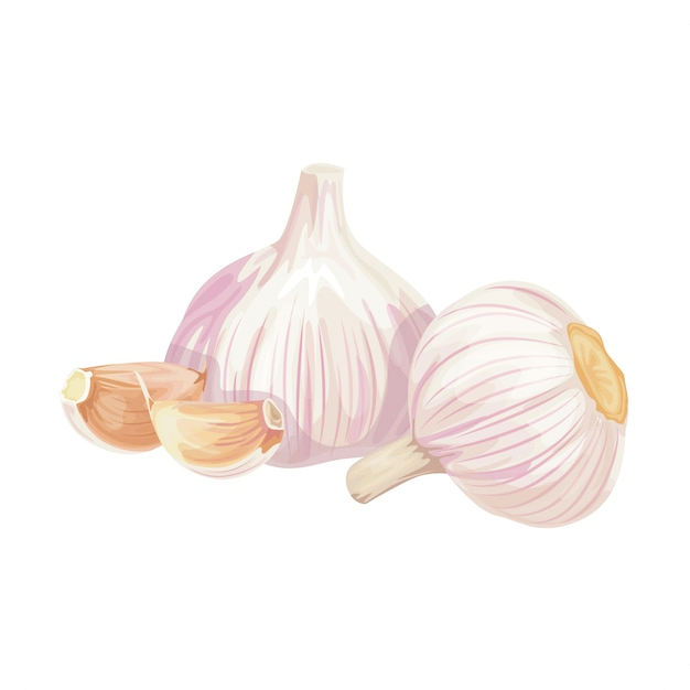 마늘-효능