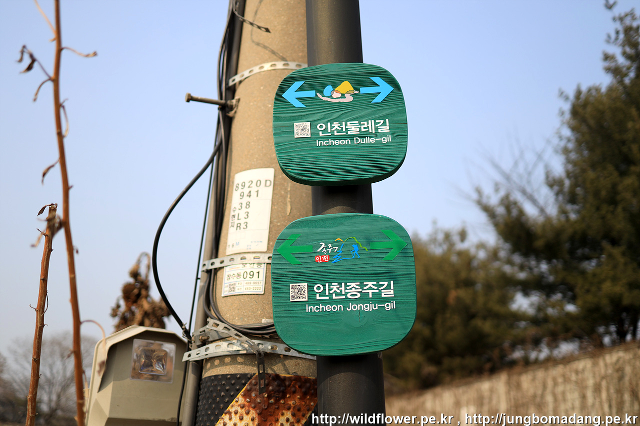 인천수목원 풍년화, 복수초 노루귀 2