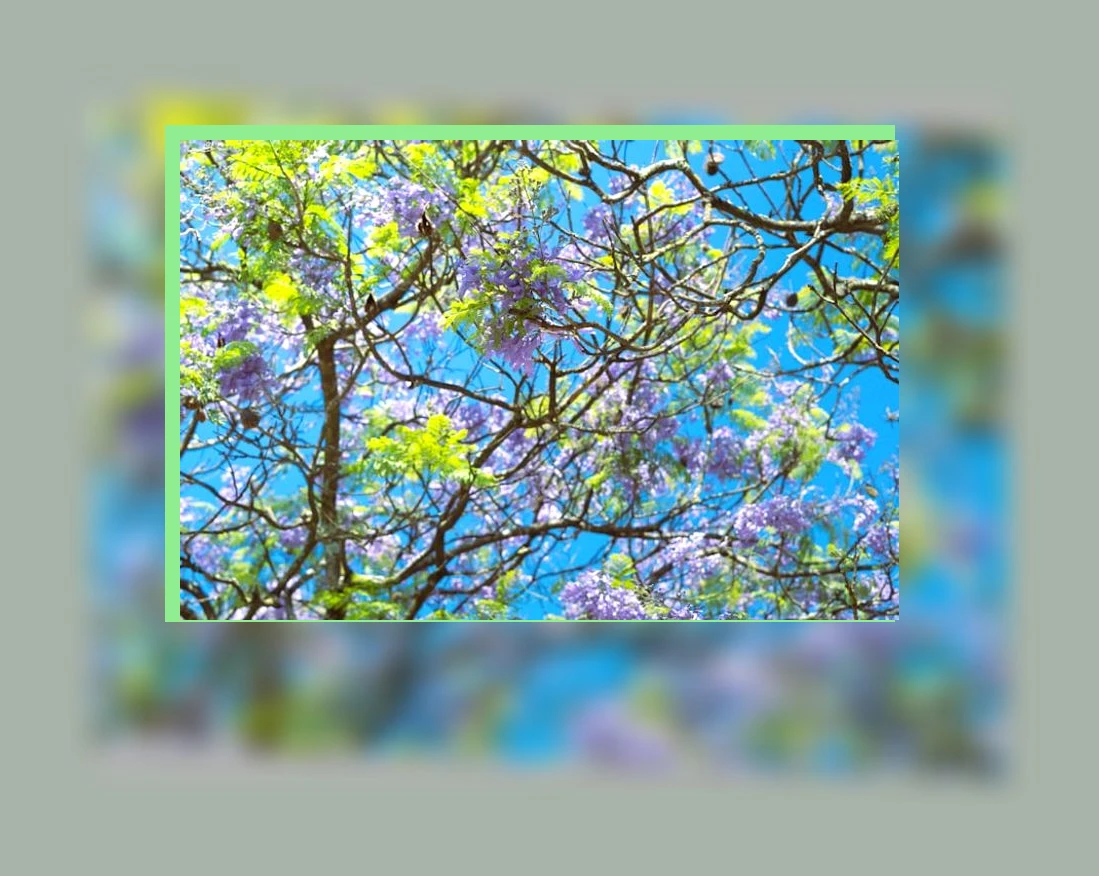 갱년기 관리_2_subsection