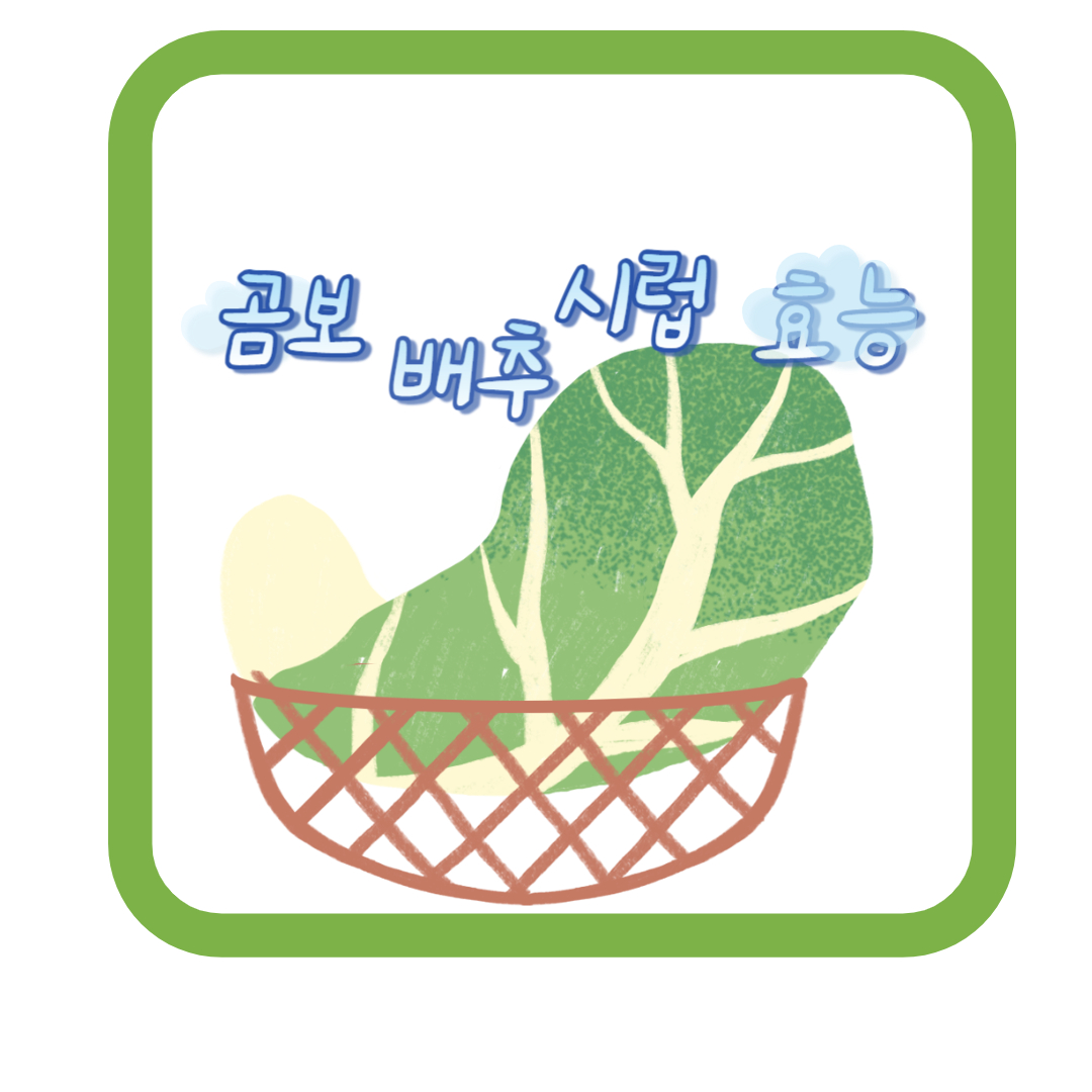  곰보배추 효능 4가지 및 곰보배추 시럽 효능 구매하러 가기