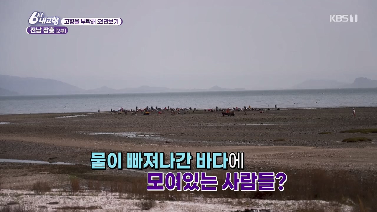 6시 내고향.E7779.230503p.H264-F1RST.mp4_20230505_183302.479.jpg