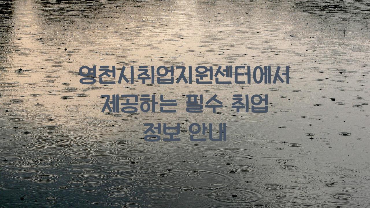 영천시취업지원센터
