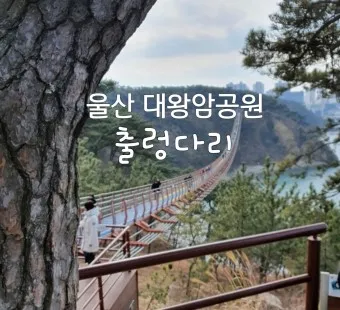 울산 가볼만한곳 베스트10 현지인 추천 필수코스_13
