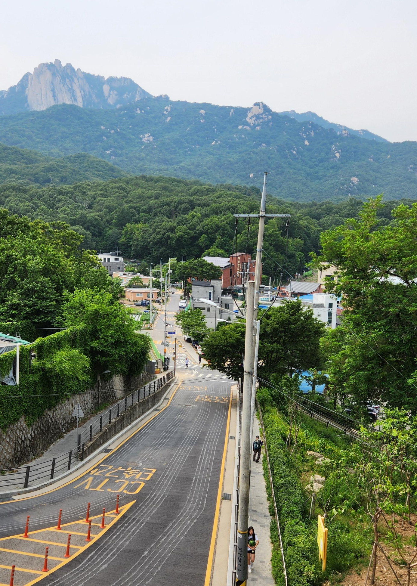도심 속 힐링코스 찾기 2: 김근태기념도서관, 우리동네 커피집, 북한산생태탐방원