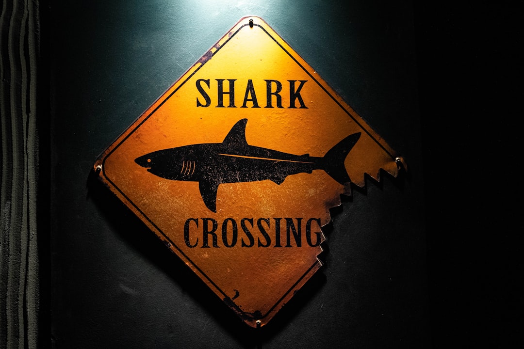 Shark