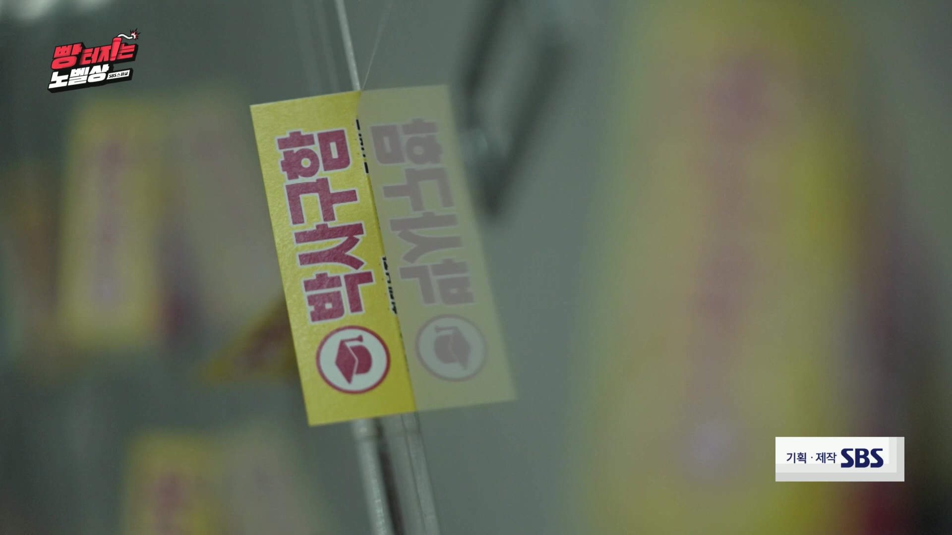 SBS 스페셜.최종.E659.231112p.H264-F1RST.mp4_20231114_204702.169.jpg