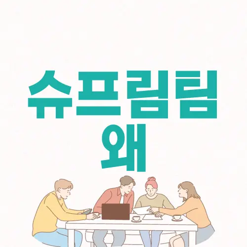 슈프림팀 왜