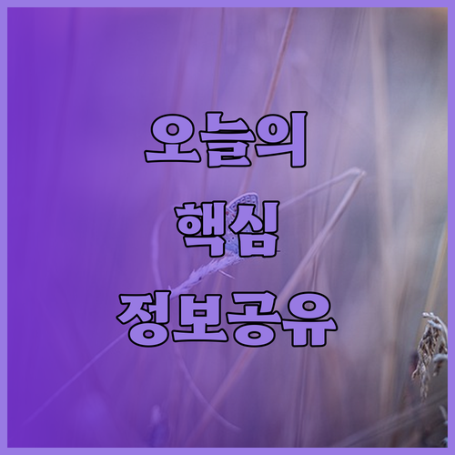 사우스 네스트 호텔 규정 안내.. 어
