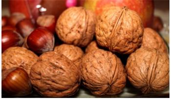 호두 호도 중 바른 표현은 3