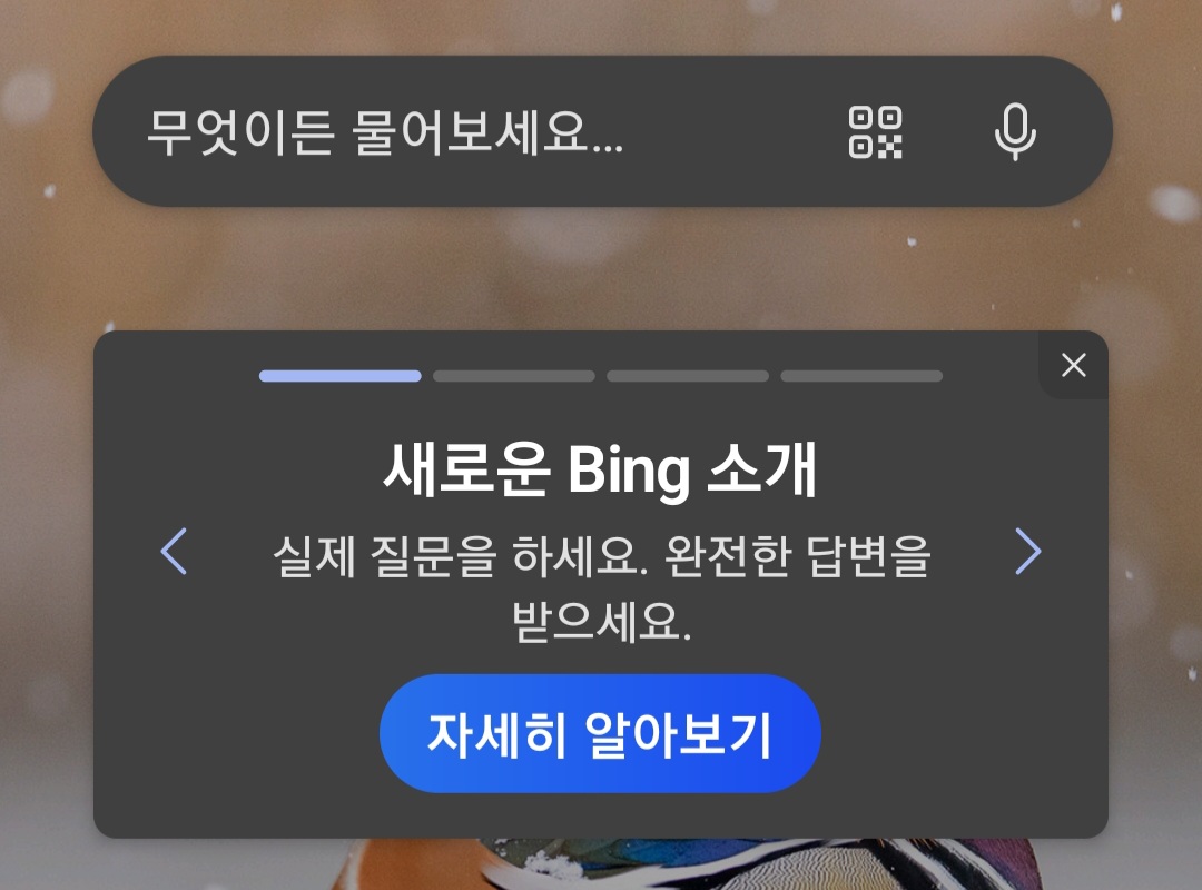 new bing 출시 안내