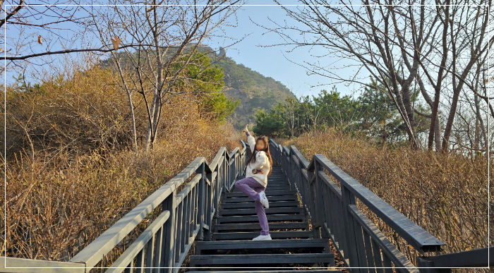 인왕정 방향으로 올라가는 길