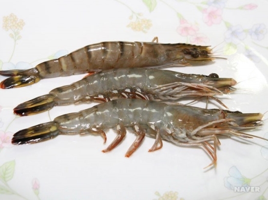 대하 이미지