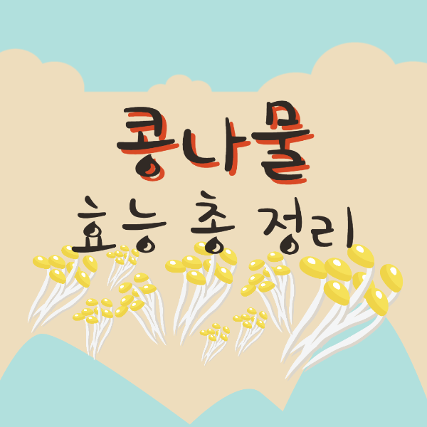  콩나물 효능 총정리 / 보관법 / 손질법 / 먹는법 / 부작용 / 고르는 방법