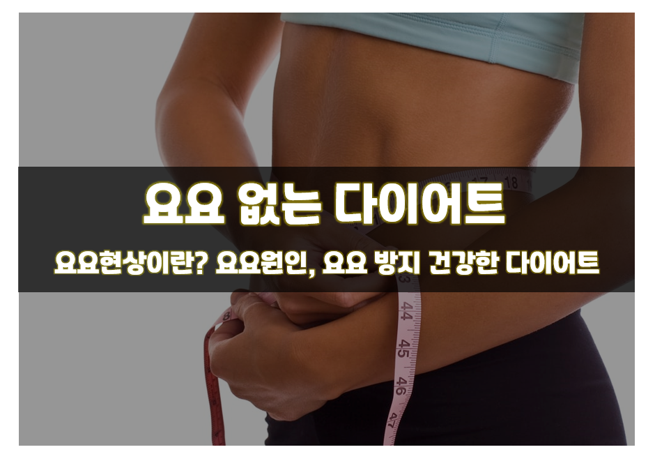  요요 원인 - 단기간 다이어트 적 요요를 멈추는 방법