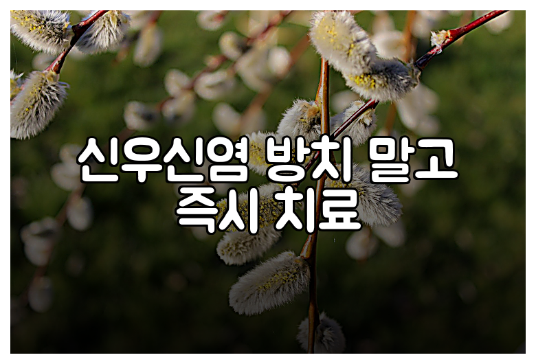 신우신염 방치 말고 즉시 치료