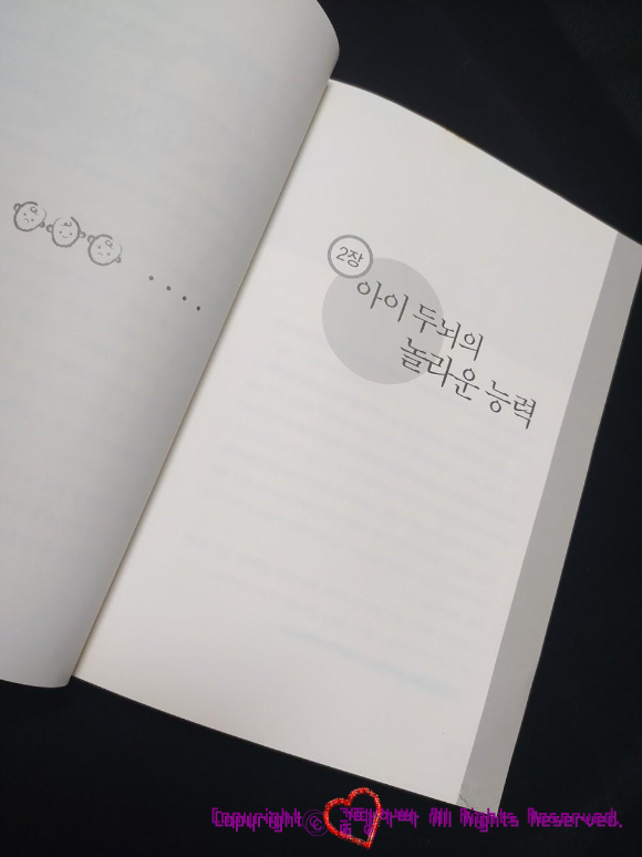  [독서후기] 잠자는 아이의 두뇌를 깨워라 (2장. 아이 두뇌의 놀라운 능력) 독서후기