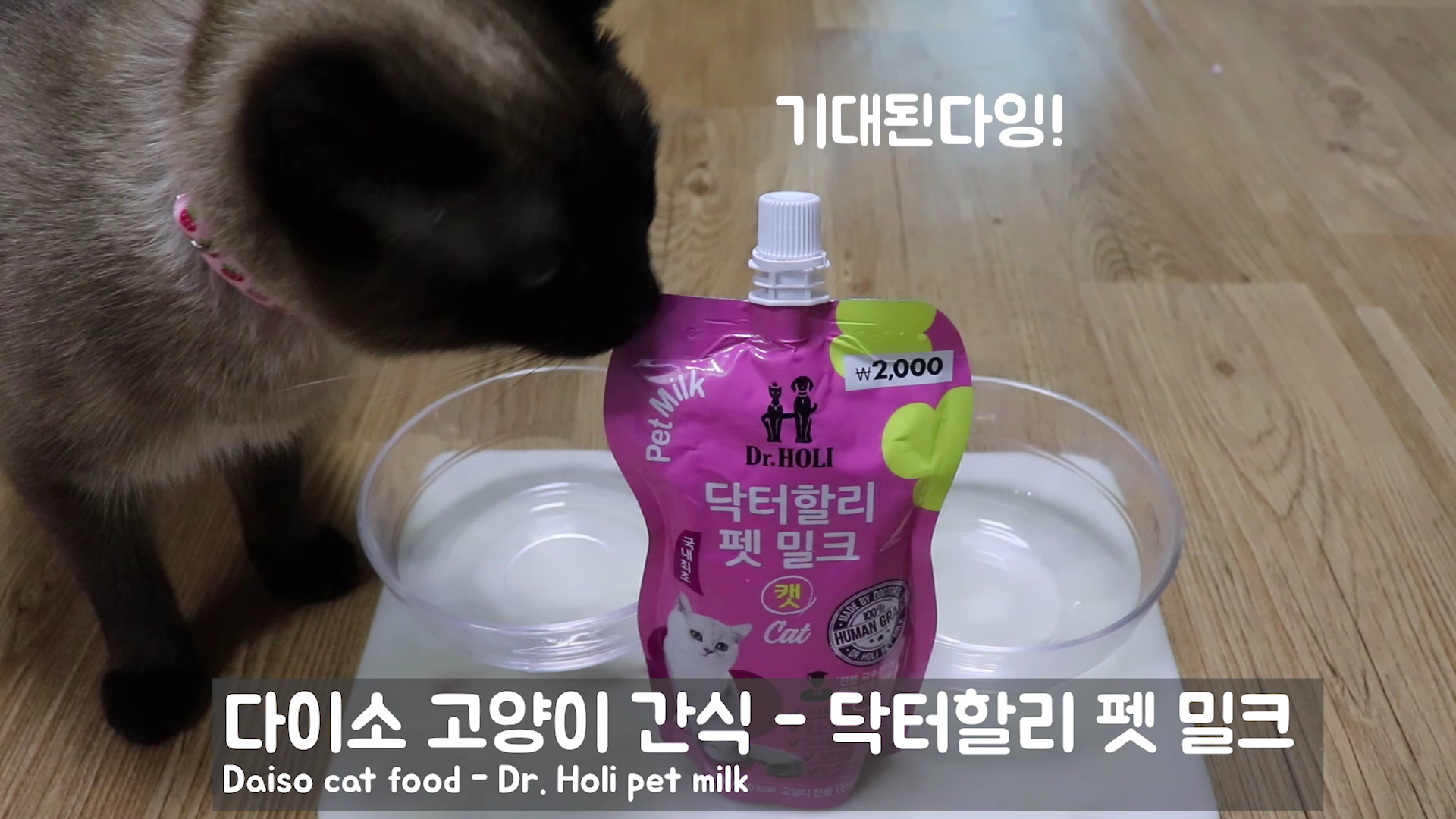  다이소 고양이간식 - 고양이 우유, 펫밀크 잘먹을까요?