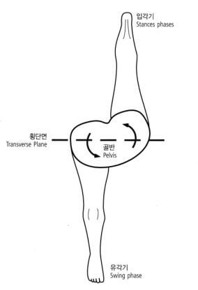 우측 다리를 앞으로 내밀고 있고 그로 인해 골반이 앞쪽으로 나오면서 반대편으로 회전하는 그림