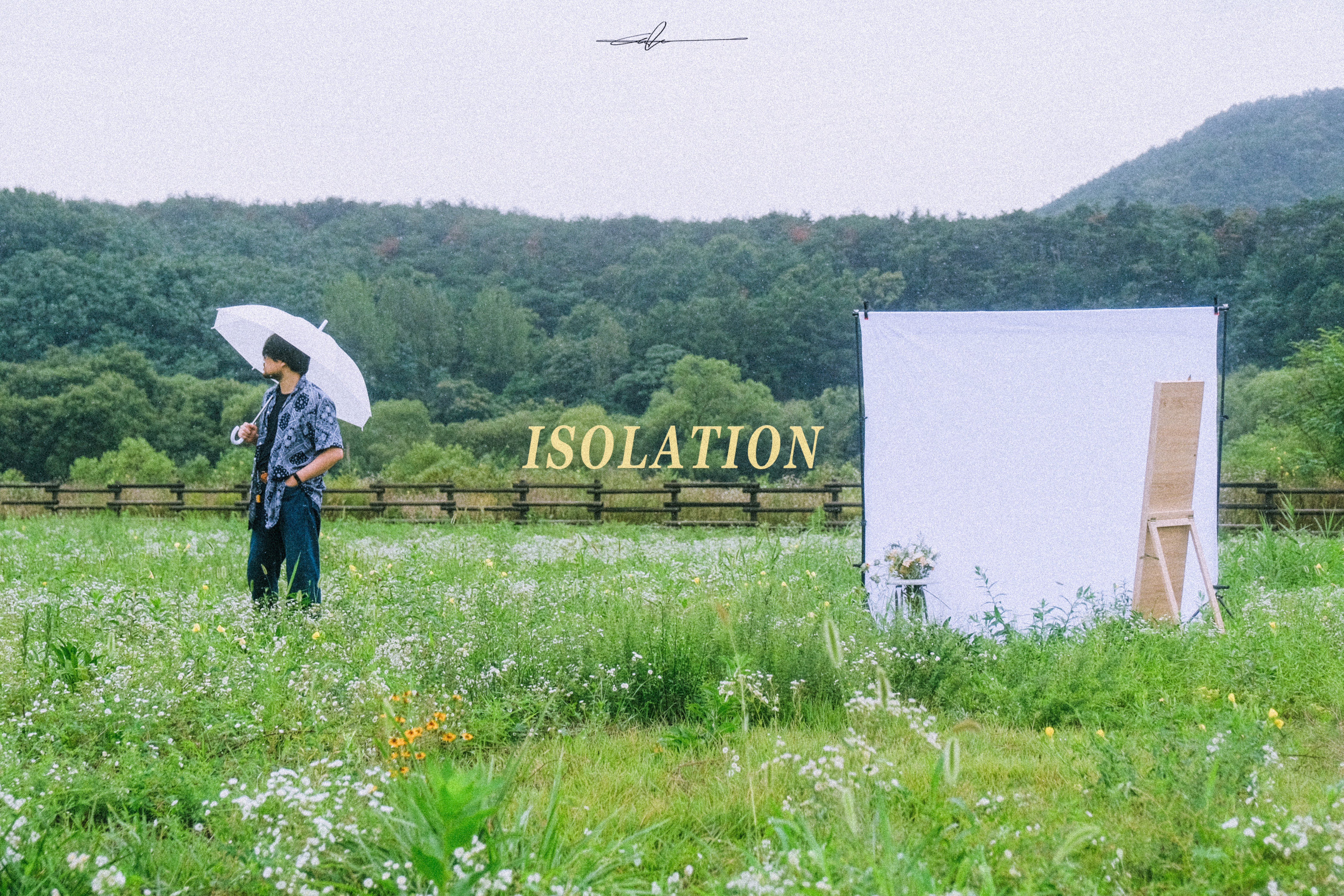 #f4e19f  ISOLATION_7