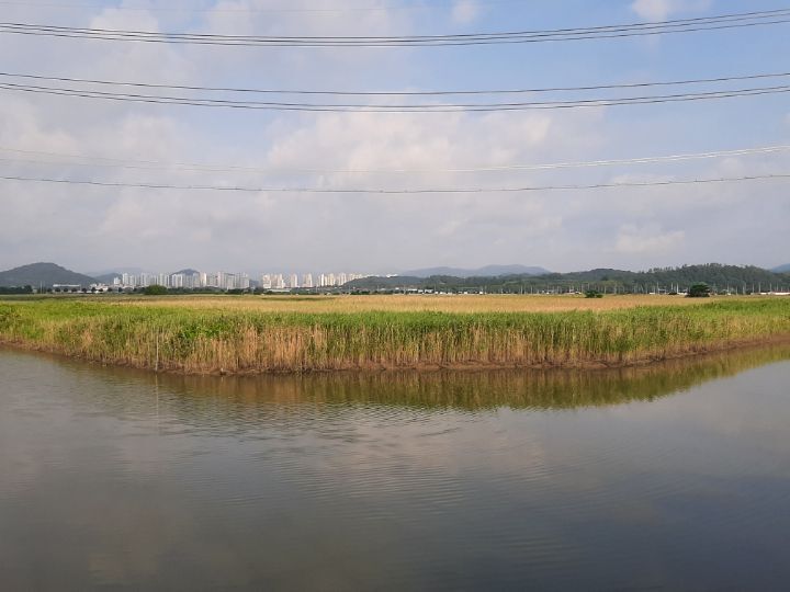 소미 사진 2