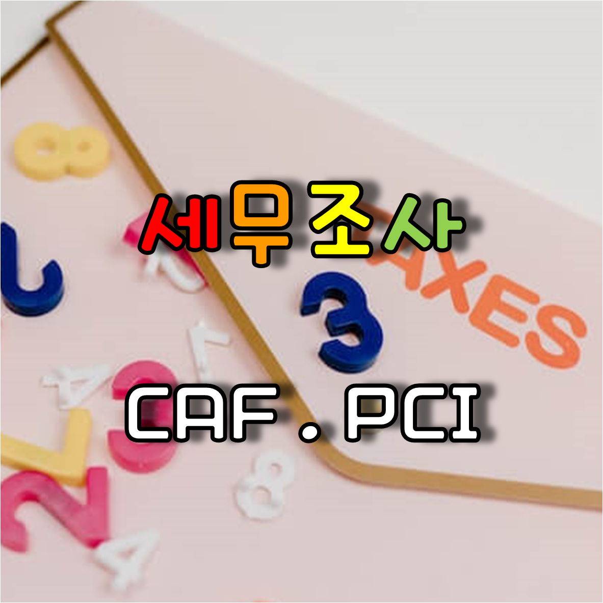  국세청 세무조사와 관련한 CAF, PCI 시스템, 민원