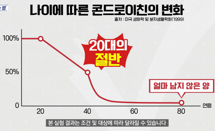 콘드로이친