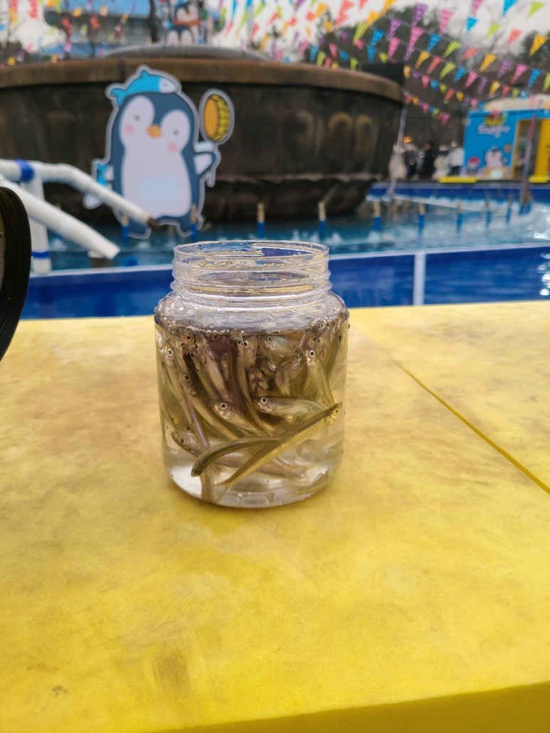 서울랜드빛축제 3