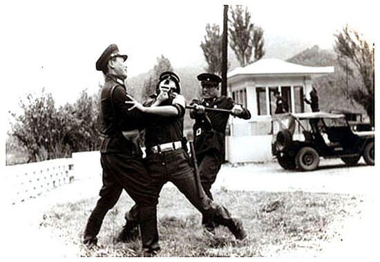  - '폴 버니언 작전' 북한군의 저돌적인 도발 [1976 판문점 도끼만행사건]