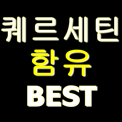  퀘르세틴 식품 BEST10