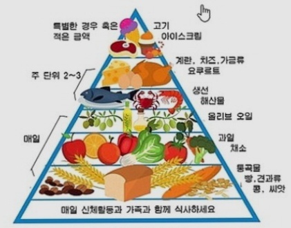 지중해식 식단