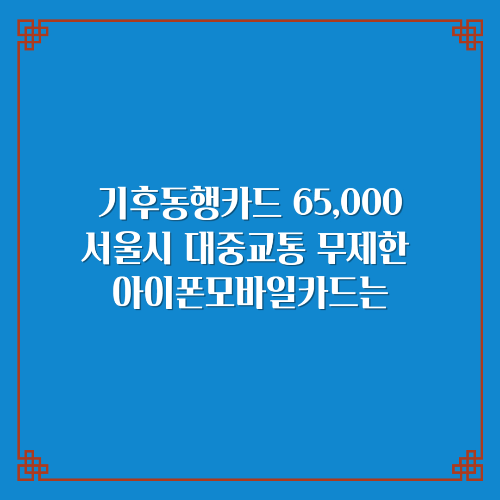  기후동행카드 65,000원/서울시 대중교통 무제한 아이폰모바일카드는