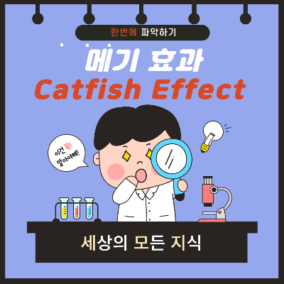 메기효과 뜻과 예시 알아보기
