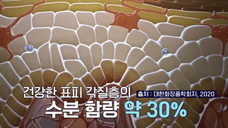 저분자 콜라겐 펩타이드 효능