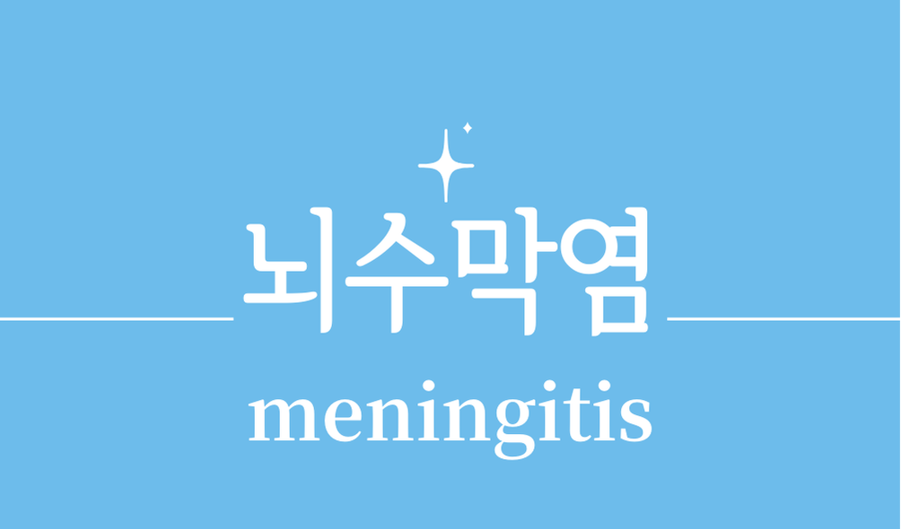 '뇌수막염(meningitis)'