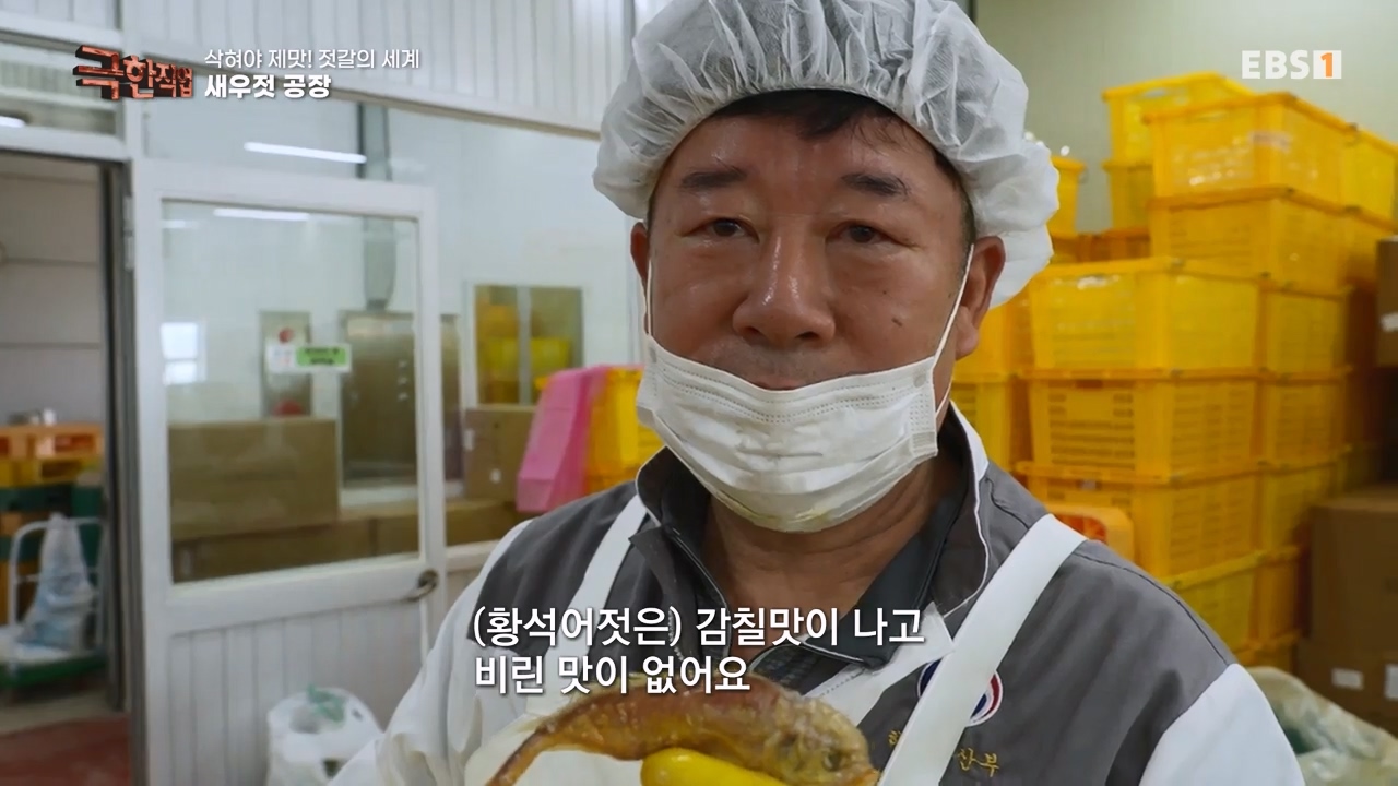 TV - 전 국민의 평생학교 EBS삭혀야 제맛! 젓갈의 세계.mp4_20231125_171531.261.jpg