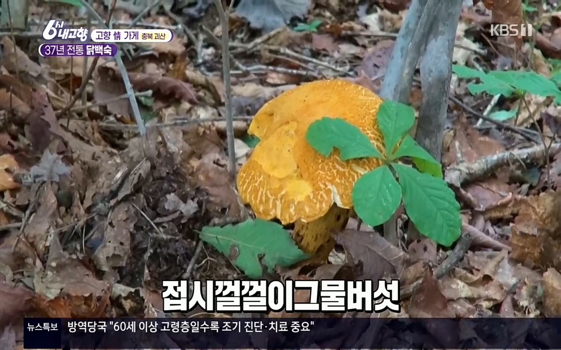 6시 내고향.E7602.220824p.H264-F1RST.mp4_20220825_170958.436.jpg