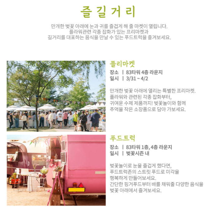 벚꽃 축제